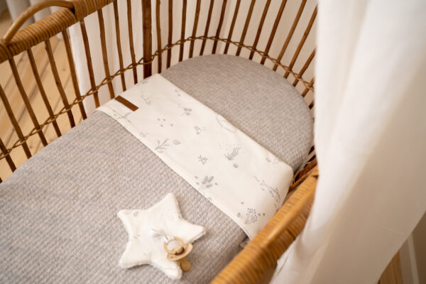 Canopy